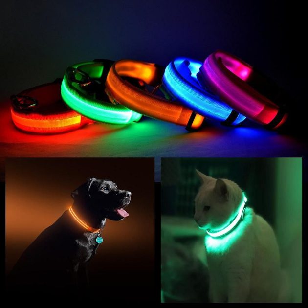 Pet Safety Led Collar